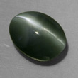 Dark Green Chrysoberyl Cat's Eye