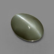 Gray Chrysoberyl Cat's Eye