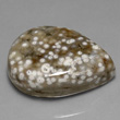 White Spotted Orbicular Jasper