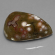 Greenish Orbicular Jasper