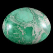 Splotchy Green & White Variscite