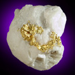 Gold in Quartz