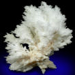 Flos Ferri Aragonite