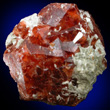 Deep Reddish-brown Andradite