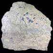 Chromite on Serpentine