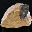 Columbite in Feldspar