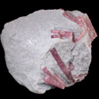 Rubellite Tourmaline in Lepidolite