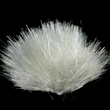 Delicate Acicular Natrolite Needles