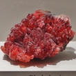 Blood-Red Rhodochrosite Scalenohedrons