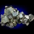 Tetrahedrite on Pyrite Crystals