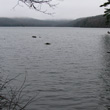 Sterling Lake