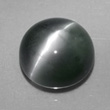 Gray Chrysoberyl Cat's Eye